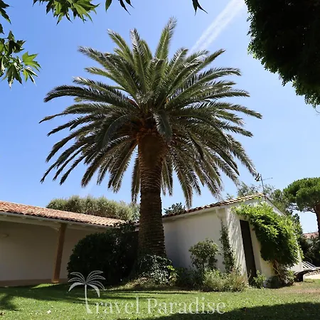 Phoenix * ラ・クアルド・シュル・メール